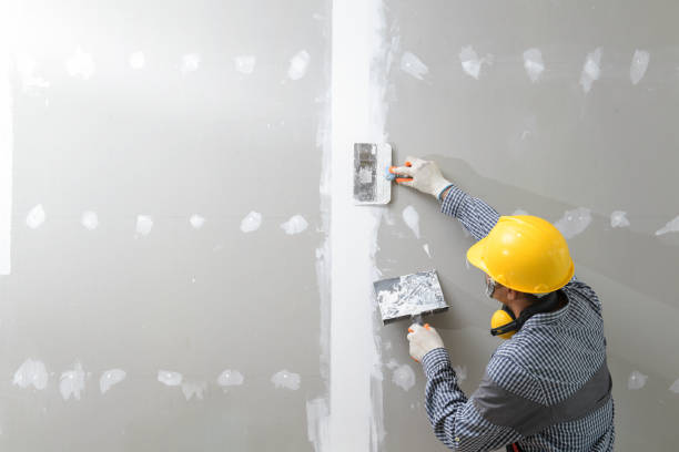 Best Drywall Removal and Disposal  in Hartshorne, OK